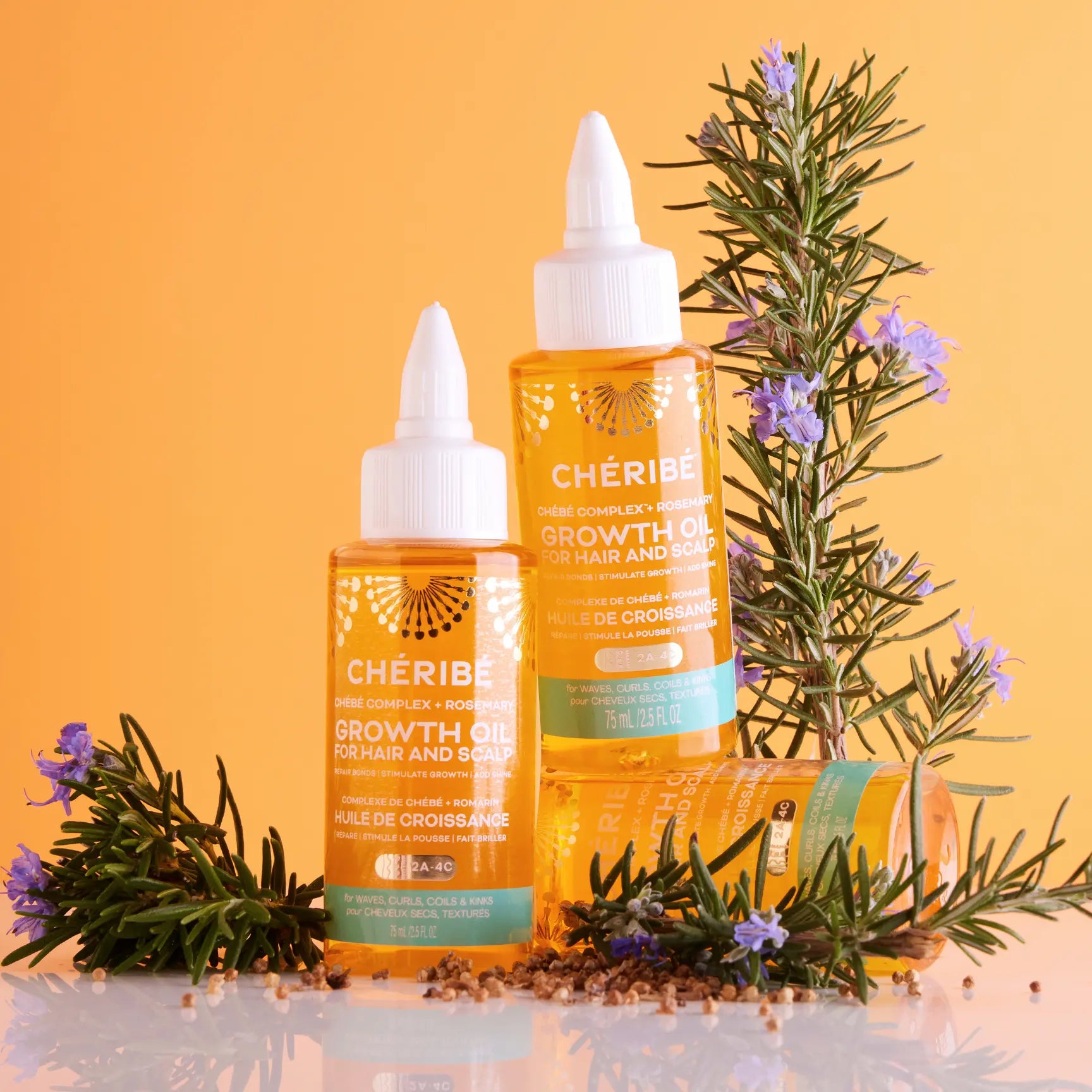 Growth Oil for Hair and Scalp | Chébé Complex + Rosemary