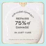Daily Refresh Moisture Milk | Chébé Complex + Green Tea - Cheribe - CHÉRIBÉ®