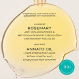 Growth Oil for Hair and Scalp | Chébé Complex + Rosemary - Cheribe - CHÉRIBÉ®