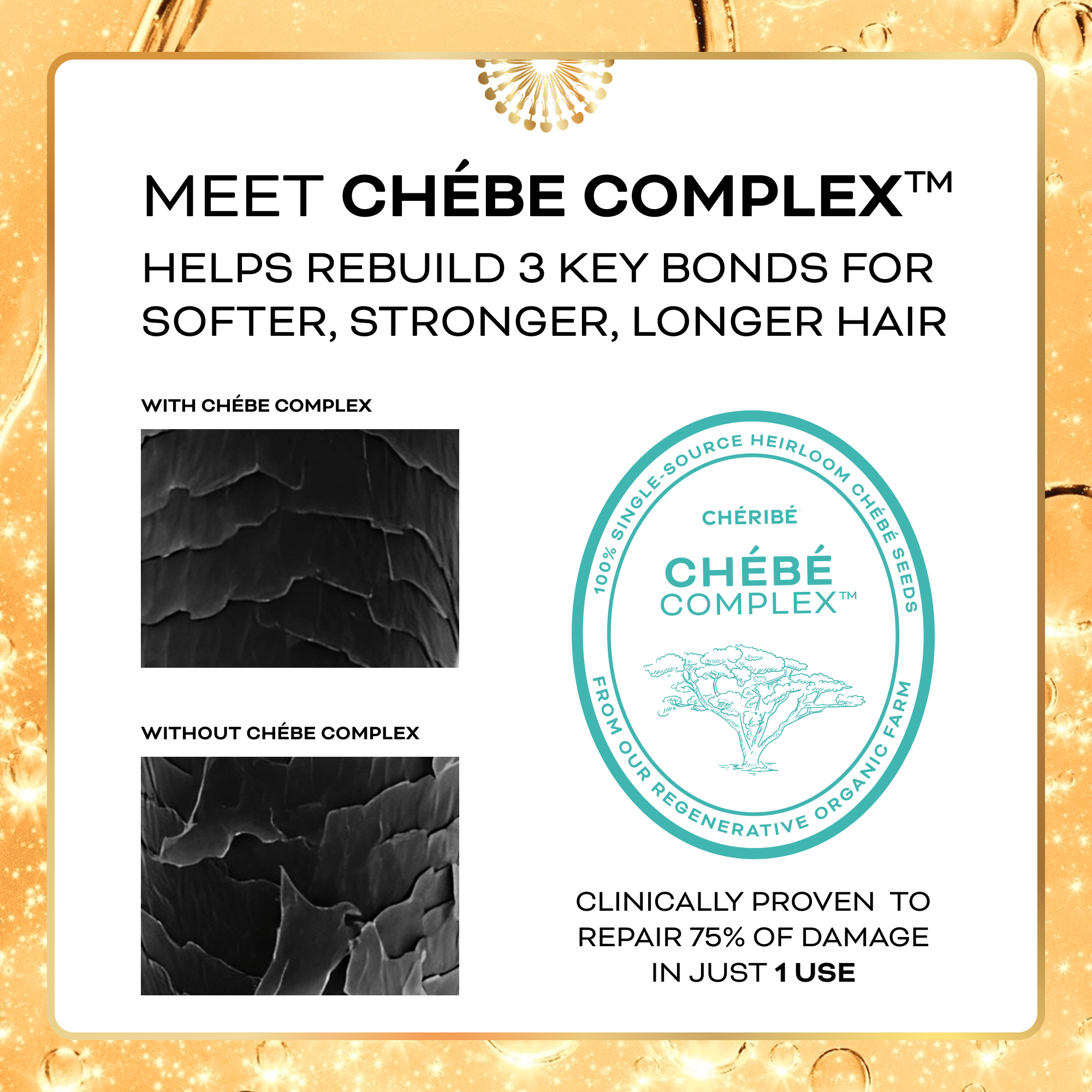 Growth Oil for Hair and Scalp | Chébé Complex + Rosemary - Cheribe - CHÉRIBÉ®