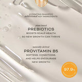 Hydrating Shampoo | Chébé Complex + Prebiotics - Cheribe - CHÉRIBÉ®