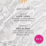 Soft Hold Styling Gelée | Chébé Complex + Aloe Vera - Cheribe - CHÉRIBÉ®